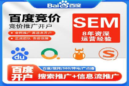 某电商平台SEM竞价广告的转化率提升案例
